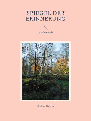 cover image of Spiegel der Erinnerung